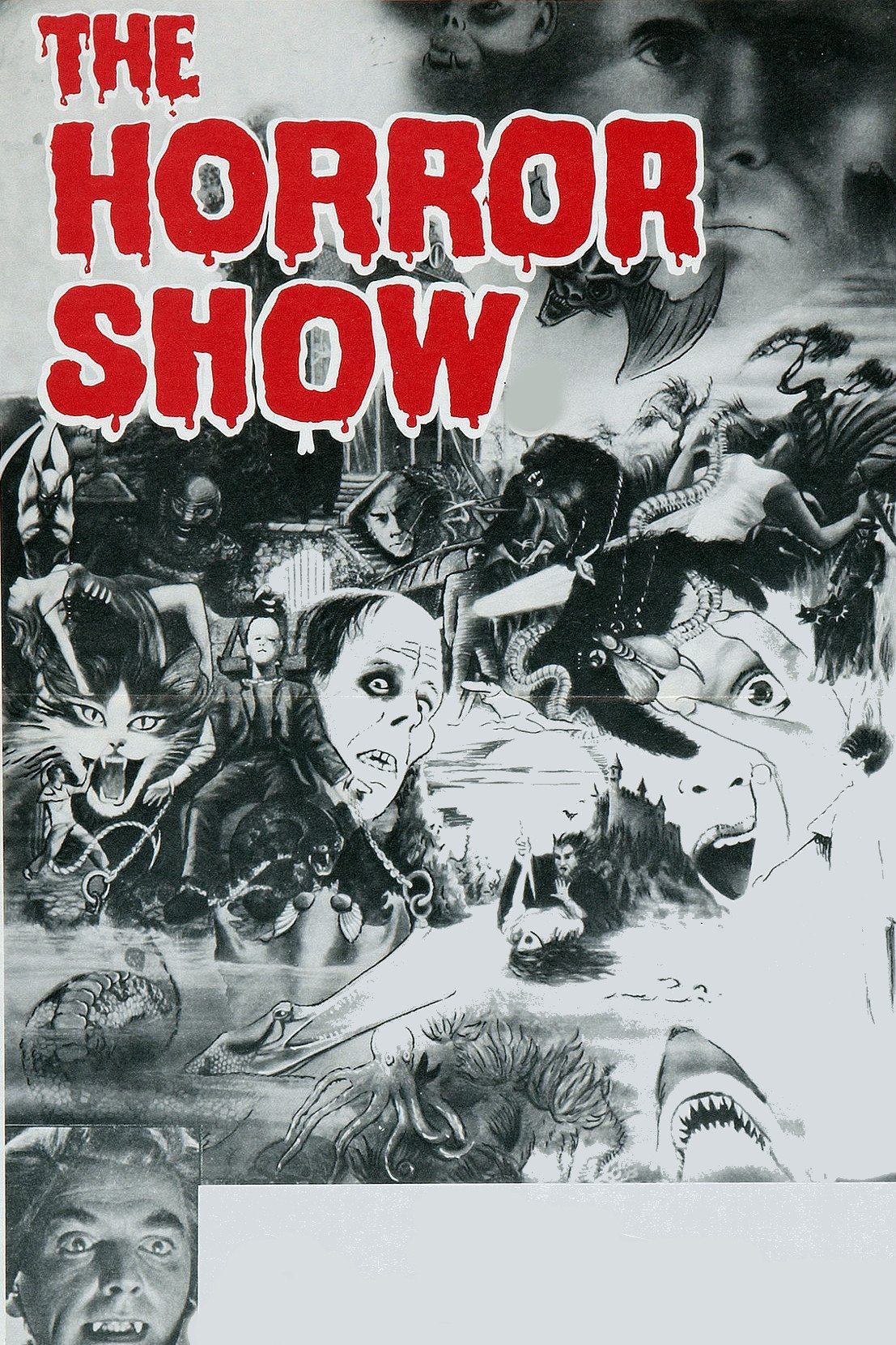 Постер The Horror Show